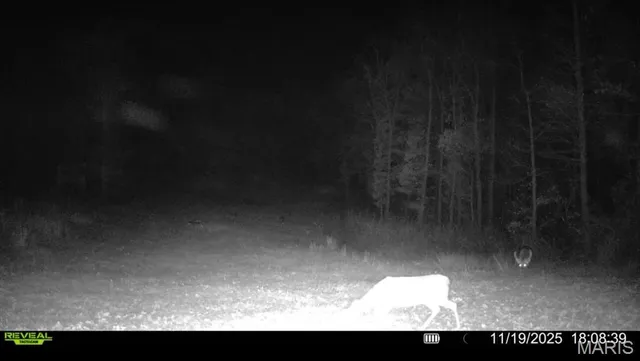 $265,000 | 0 Missouri 34 Glen, Marble Hill, MO 63764