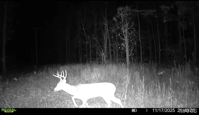 $265,000 | 0 Missouri 34 Glen, Marble Hill, MO 63764