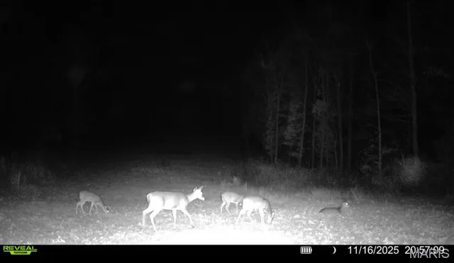 $265,000 | 0 Missouri 34 Glen, Marble Hill, MO 63764