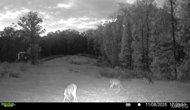 $265,000 | 0 Missouri 34 Glen, Marble Hill, MO 63764