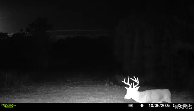 $265,000 | 0 Missouri 34 Glen, Marble Hill, MO 63764