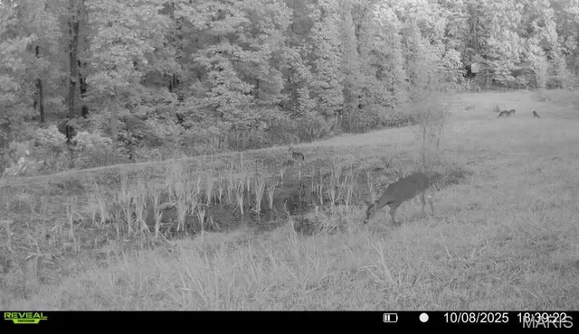 $265,000 | 0 Missouri 34 Glen, Marble Hill, MO 63764