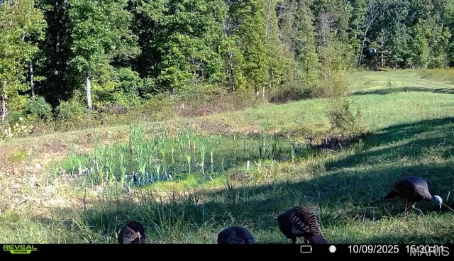 $265,000 | 0 Missouri 34 Glen, Marble Hill, MO 63764