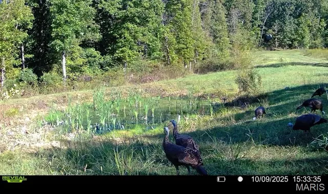 $265,000 | 0 Missouri 34 Glen, Marble Hill, MO 63764