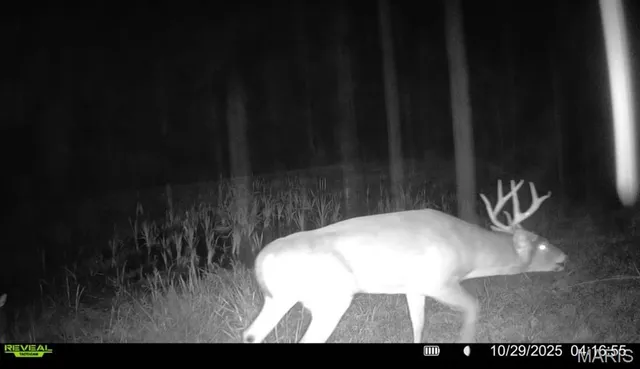 $265,000 | 0 Missouri 34 Glen, Marble Hill, MO 63764