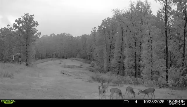 $265,000 | 0 Missouri 34 Glen, Marble Hill, MO 63764