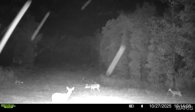 $265,000 | 0 Missouri 34 Glen, Marble Hill, MO 63764