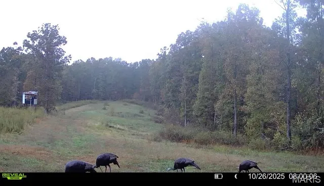 $265,000 | 0 Missouri 34 Glen, Marble Hill, MO 63764