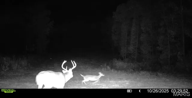 $265,000 | 0 Missouri 34 Glen, Marble Hill, MO 63764