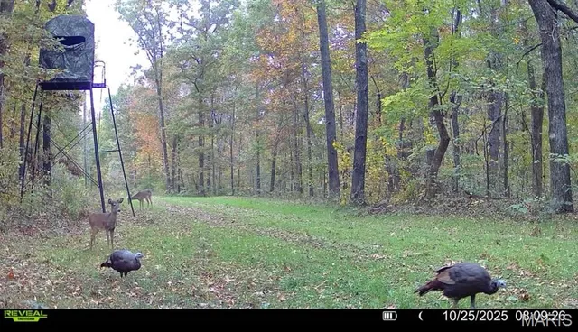 $265,000 | 0 Missouri 34 Glen, Marble Hill, MO 63764