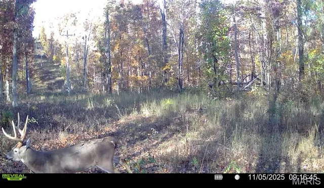 $265,000 | 0 Missouri 34 Glen, Marble Hill, MO 63764