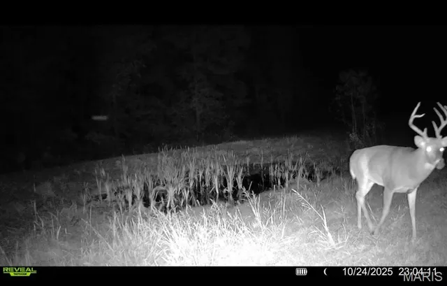 $265,000 | 0 Missouri 34 Glen, Marble Hill, MO 63764