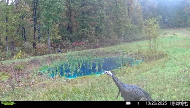 $265,000 | 0 Missouri 34 Glen, Marble Hill, MO 63764