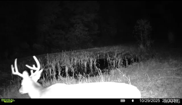 $265,000 | 0 Missouri 34 Glen, Marble Hill, MO 63764