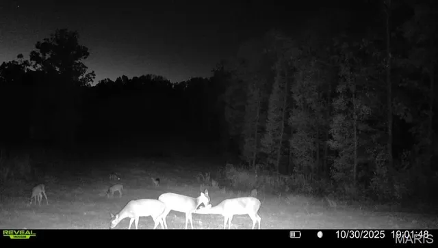 $265,000 | 0 Missouri 34 Glen, Marble Hill, MO 63764