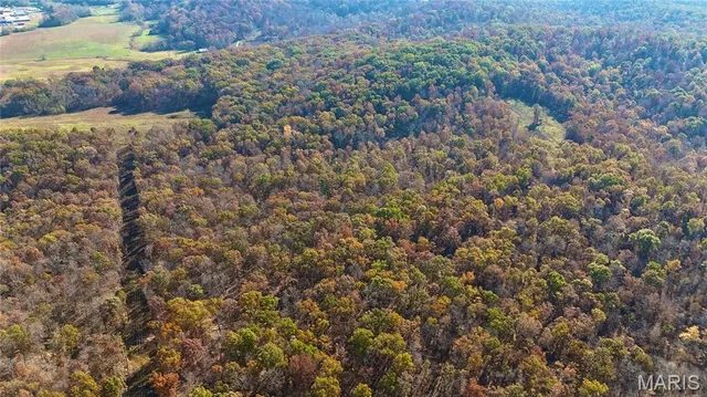 $265,000 | 0 Missouri 34 Glen, Marble Hill, MO 63764