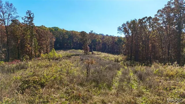 $265,000 | 0 Missouri 34 Glen, Marble Hill, MO 63764