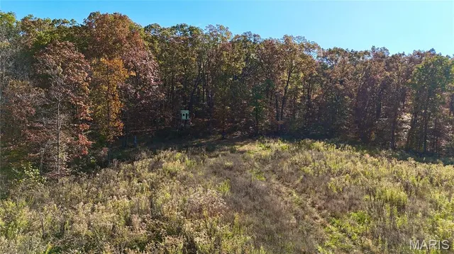 $265,000 | 0 Missouri 34 Glen, Marble Hill, MO 63764