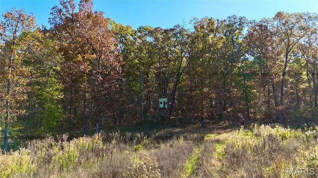 $265,000 | 0 Missouri 34 Glen, Marble Hill, MO 63764