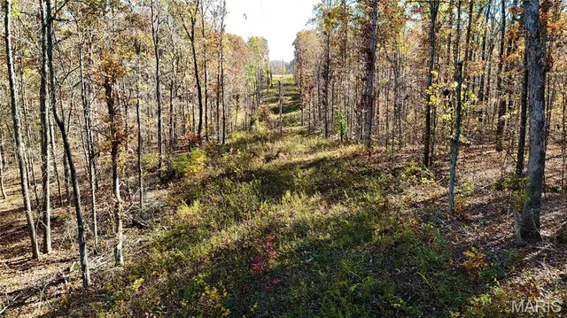 $265,000 | 0 Missouri 34 Glen, Marble Hill, MO 63764