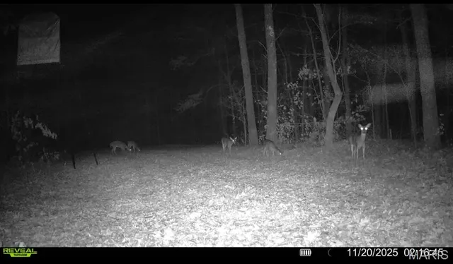 $265,000 | 0 Missouri 34 Glen, Marble Hill, MO 63764