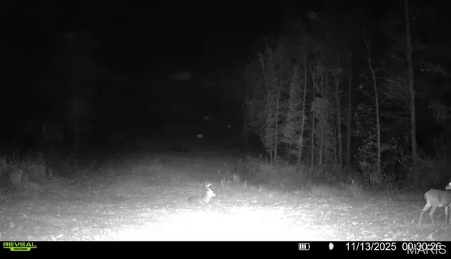 $265,000 | 0 Missouri 34 Glen, Marble Hill, MO 63764