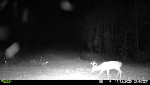 $265,000 | 0 Missouri 34 Glen, Marble Hill, MO 63764