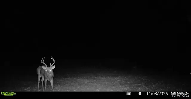 $265,000 | 0 Missouri 34 Glen, Marble Hill, MO 63764