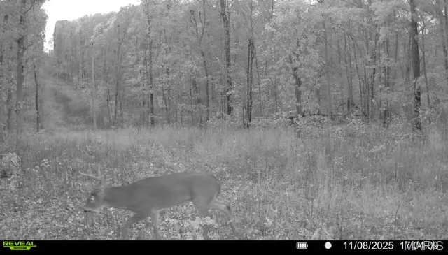 $265,000 | 0 Missouri 34 Glen, Marble Hill, MO 63764