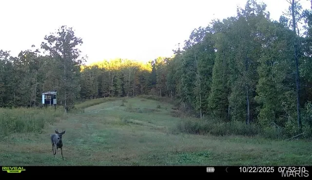 $265,000 | 0 Missouri 34 Glen, Marble Hill, MO 63764