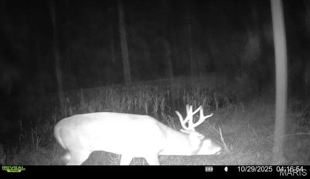 $265,000 | 0 Missouri 34 Glen, Marble Hill, MO 63764