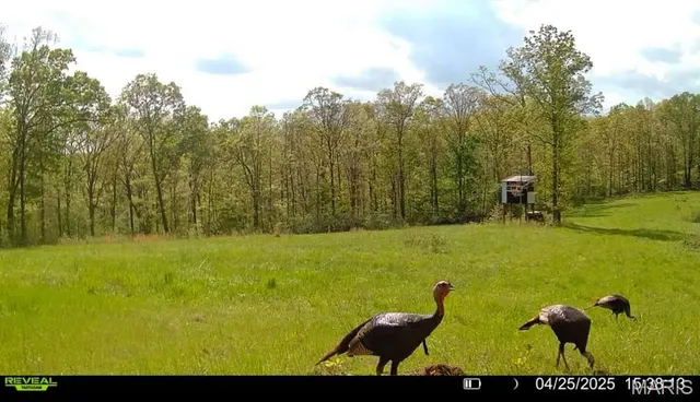 $265,000 | 0 Missouri 34 Glen, Marble Hill, MO 63764