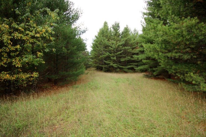 3550 Bowerman Road Kingsley, MI 49649 - Photo 5 of 13 1824898-4.JPG