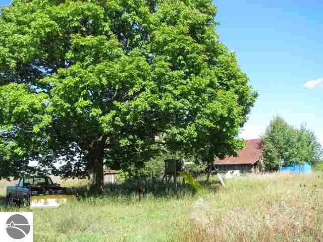 5839 Gleaner Hall Road Kingsley, MI 49649 - Photo 9 of 15 1695161-8.JPG