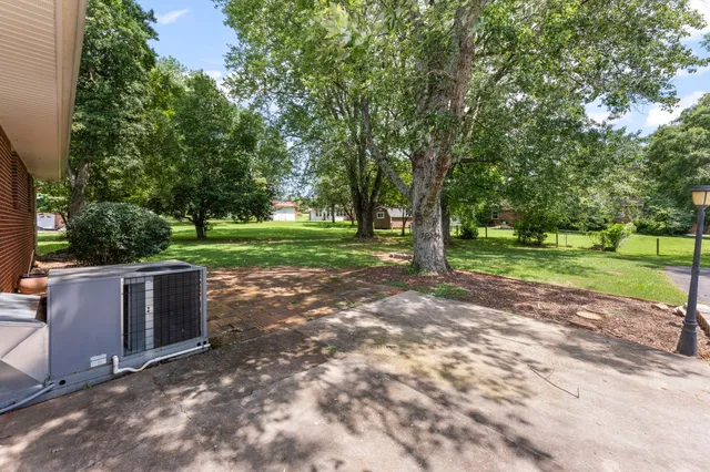 a view of a park with large trees