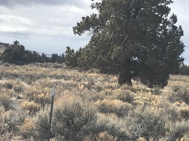 Tbd Southeast Custer Road Prineville, OR 97754 - Photo 5 of 9 IMG_6926