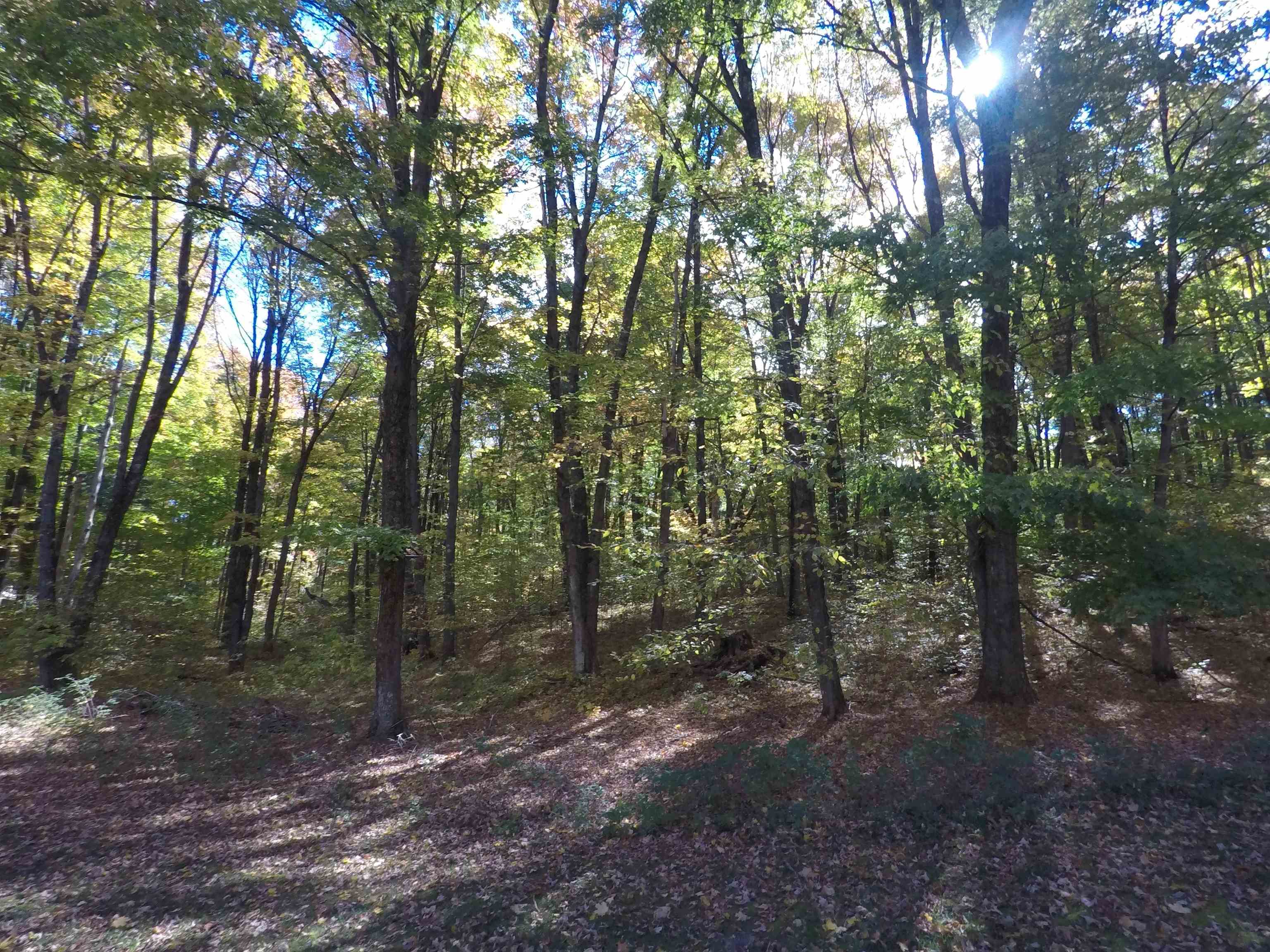 7841 West 28 Road Harrietta, MI 49638 - Photo 9 of 24