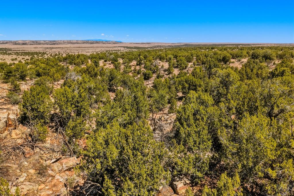 801 Turkey Rdg Road East Walsenburg, CO 81089 - Photo 60 of 65