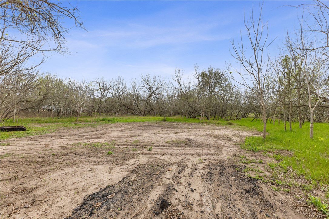 1014 Doe Run Road Caldwell, TX 77836 - Photo 23 of 23 a view of a field with trees in background