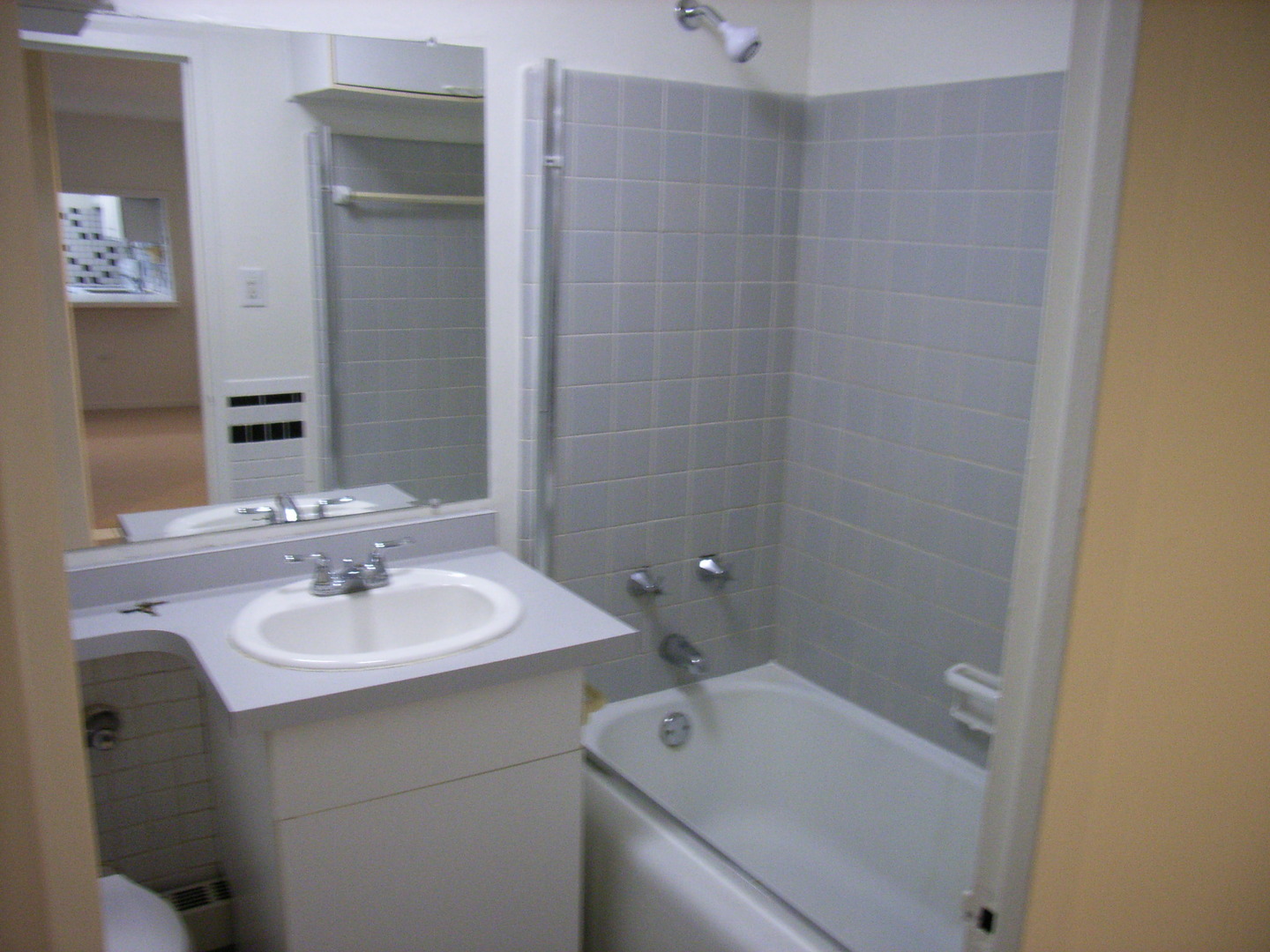 700 West Bittersweet Place, Unit 207 Chicago, IL 60613 - Photo 10 of 11 a bathroom with a sink and a mirror