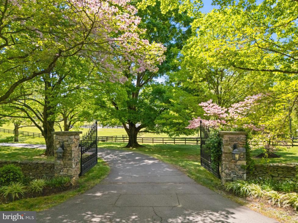 36987 Mountville Road Middleburg, VA 20117 - Photo 2 of 18 a view of a park with large trees