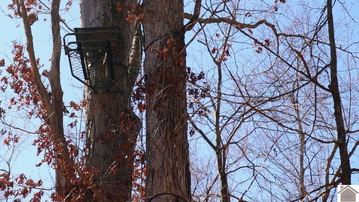 0 Wray Road Wingo, KY 42088 - Photo 14 of 39 Photo 14
