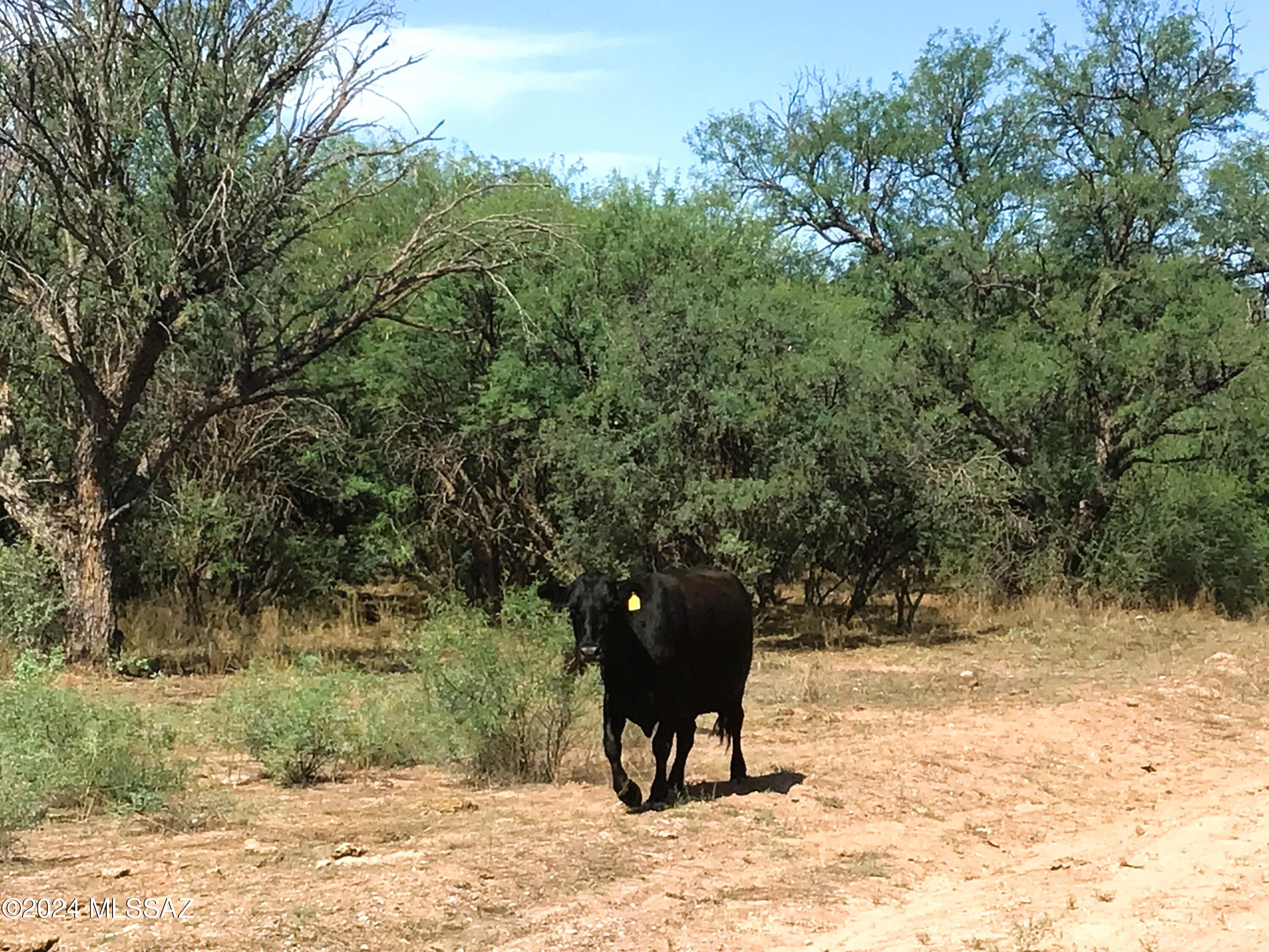 36.01-ac West Pronghorn Rdg Road, Unit 205 Willcox, AZ 85643 - Photo 29 of 37