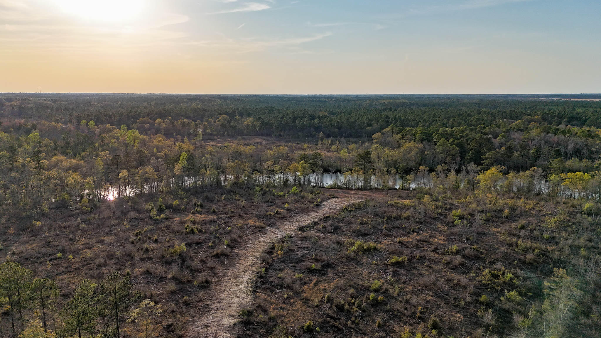 0 White Pond Road Williston, SC 29853 - Photo 11 of 16 White Pond Ridge Estate SC Land for Sale