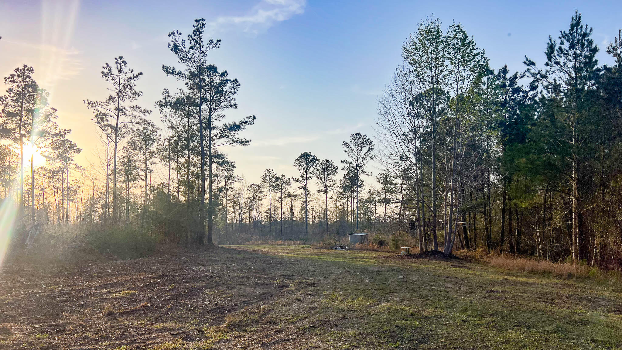 0 White Pond Road Williston, SC 29853 - Photo 12 of 16 White Pond Ridge Estate SC Land for Sale