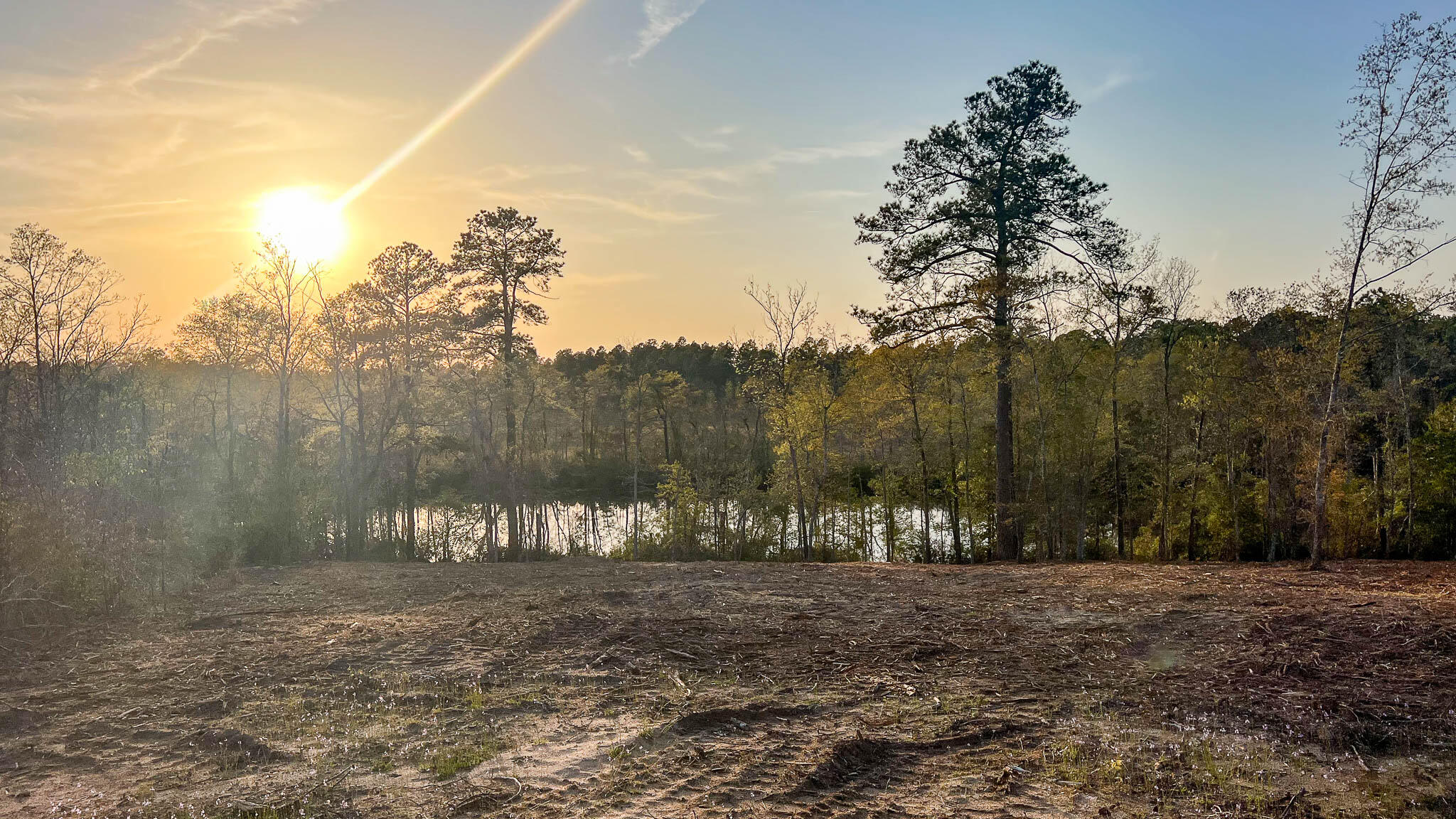 0 White Pond Road Williston, SC 29853 - Photo 15 of 16 White Pond Ridge Estate SC Land for Sale