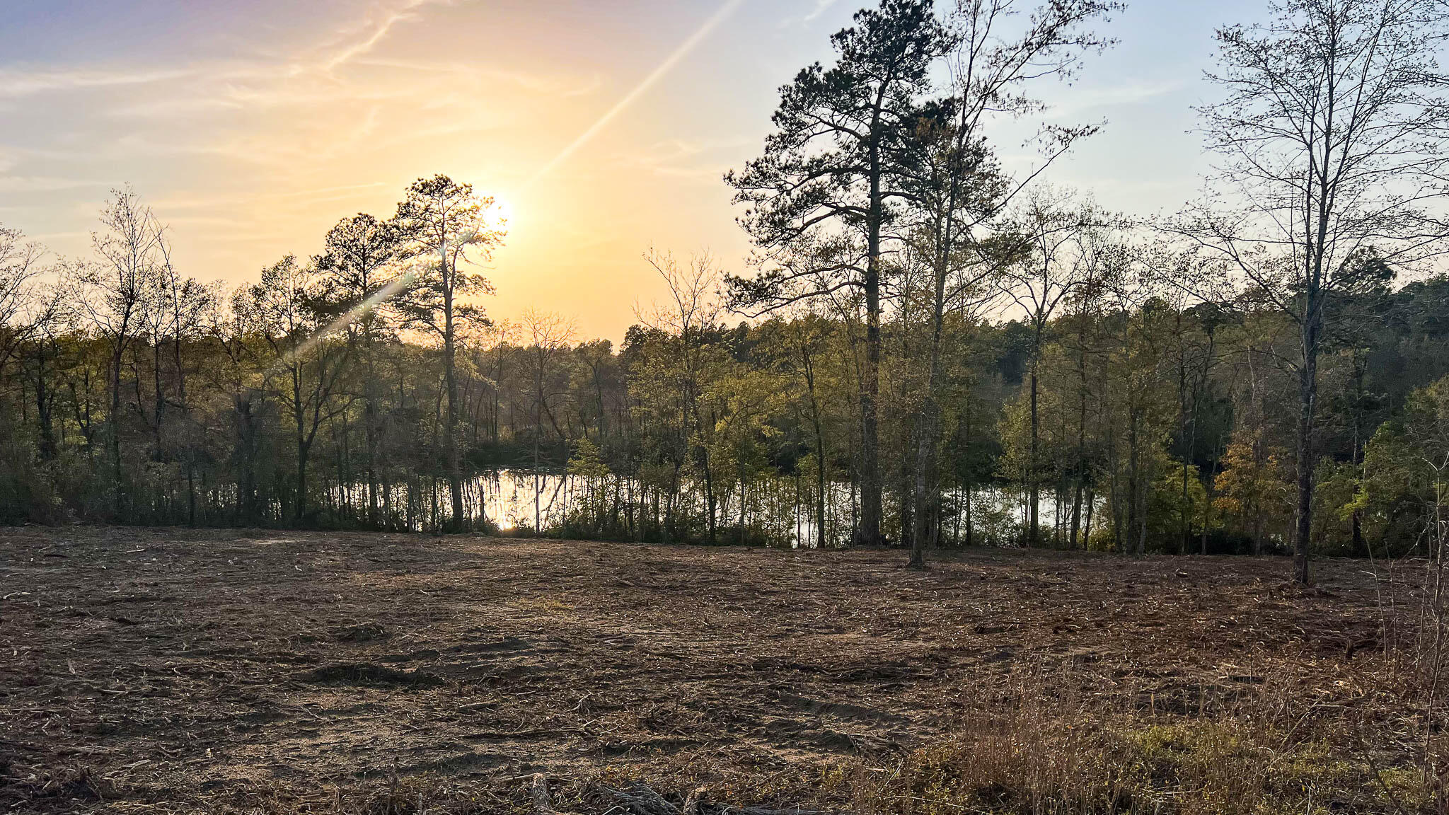 0 White Pond Road Williston, SC 29853 - Photo 16 of 16 White Pond Ridge Estate