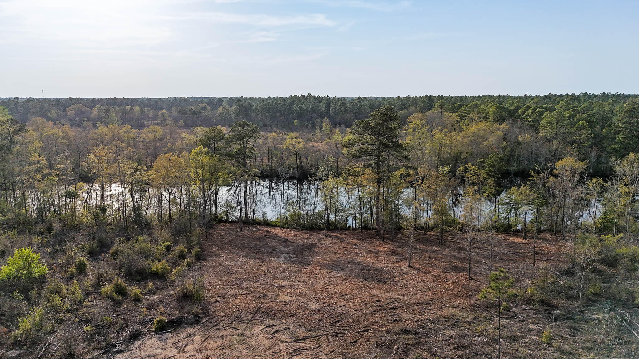 0 White Pond Road Williston, SC 29853 - Photo 2 of 16 White Pond Ridge Estate SC Land for Sale