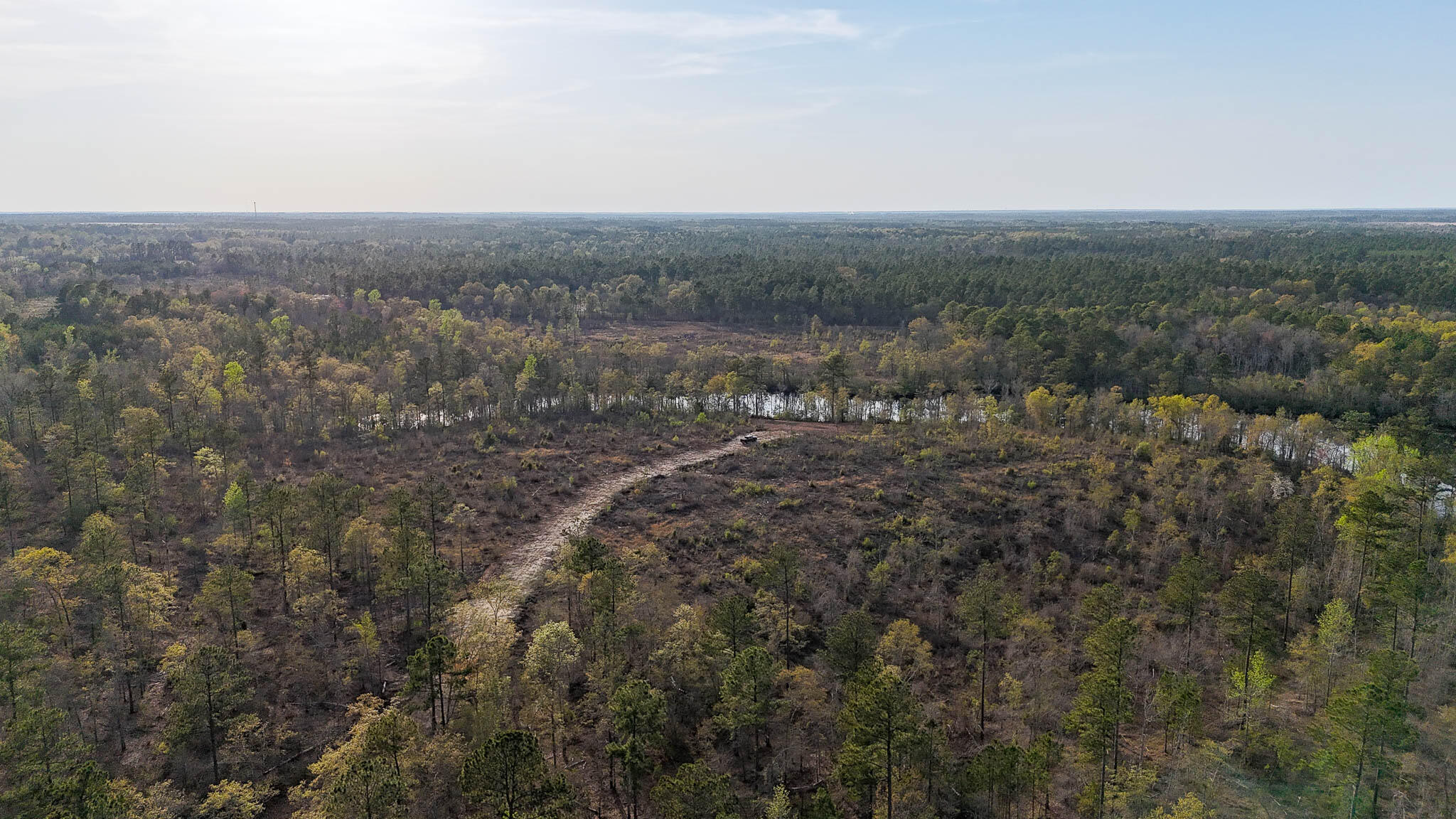 0 White Pond Road Williston, SC 29853 - Photo 3 of 16 White Pond Ridge Estate SC Land for Sale