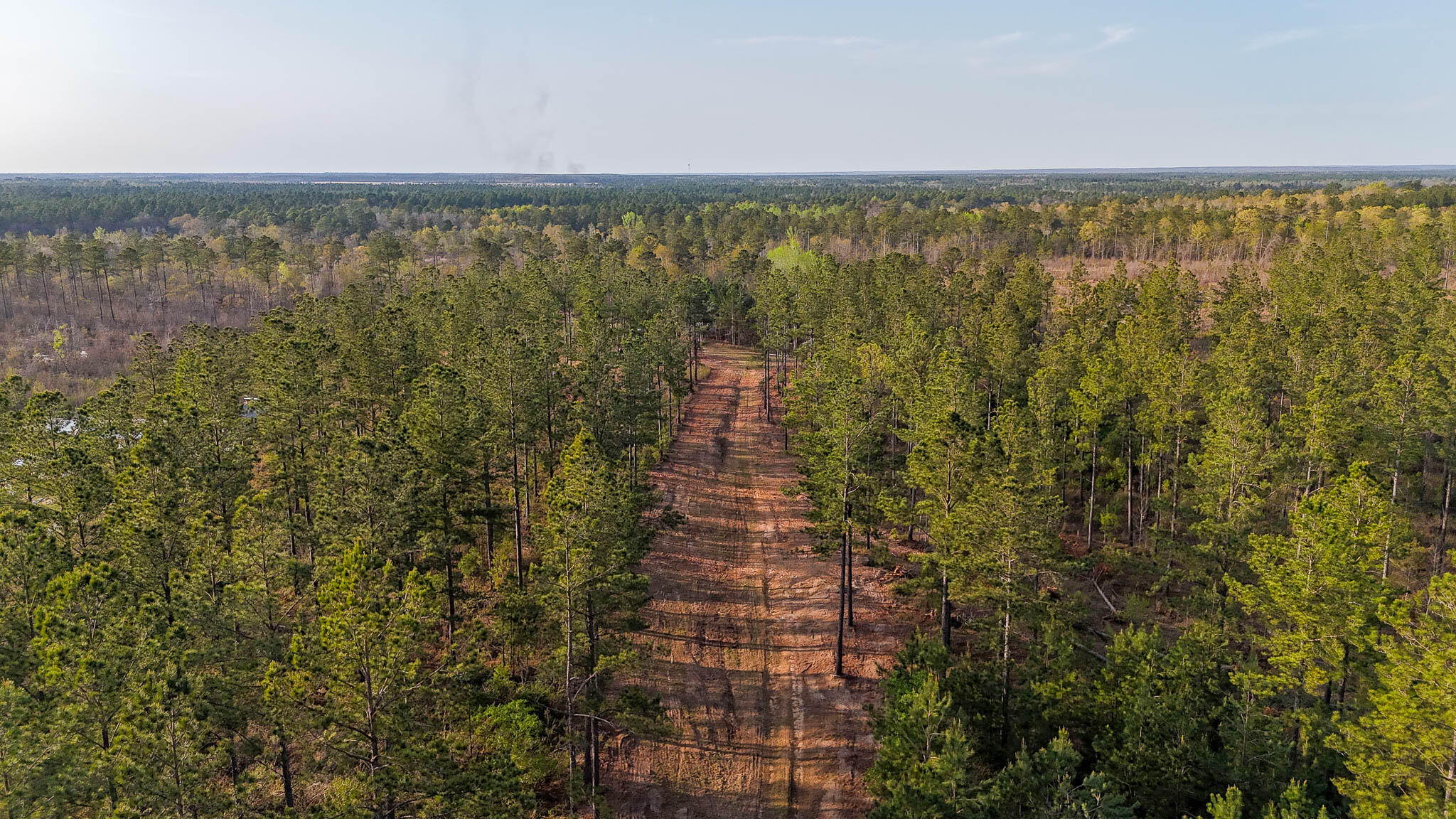 0 White Pond Road Williston, SC 29853 - Photo 6 of 16 White Pond Ridge Estate SC Land for Sale